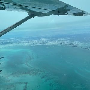 Meet your Posher, Mia